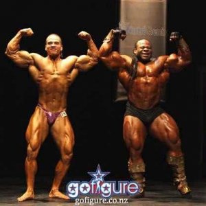 2013 Bodybuilding Images