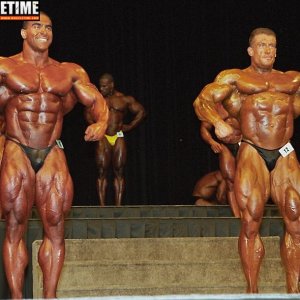 2013 Bodybuilding Images