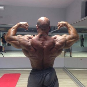 2013 Bodybuilding Images