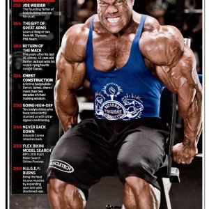 2013 Bodybuilding Images