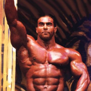 2013 Bodybuilding Images