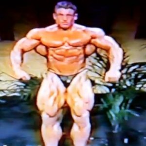 2013 Bodybuilding Images