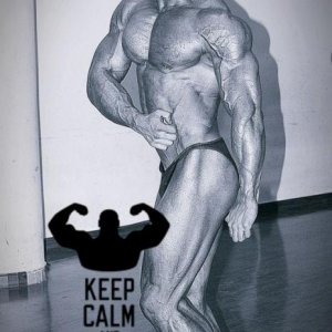 2013 Bodybuilding Images