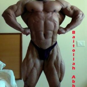 2013 Bodybuilding Images