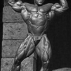 2013 Bodybuilding Images