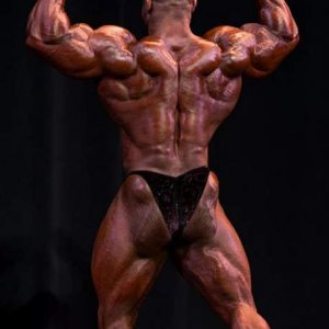 2013 Bodybuilding Images