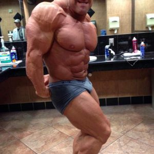 2013 Bodybuilding Images