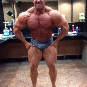 2013 Bodybuilding Images