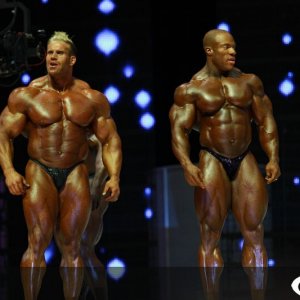 2013 Bodybuilding Images