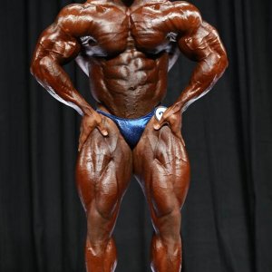 2013 Bodybuilding Images