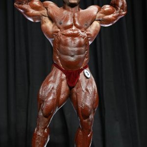 2013 Bodybuilding Images