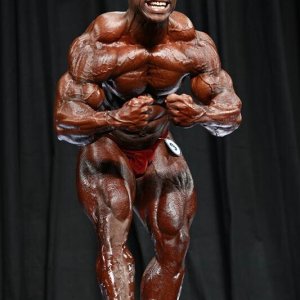 2013 Bodybuilding Images