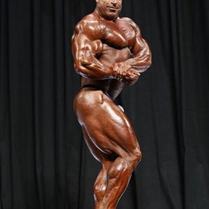 2013 Bodybuilding Images