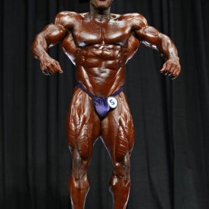 2013 Bodybuilding Images