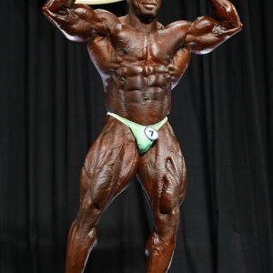 2013 Bodybuilding Images