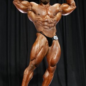 2013 Bodybuilding Images