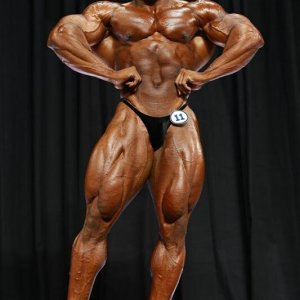 2013 Bodybuilding Images