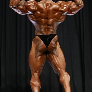 2013 Bodybuilding Images