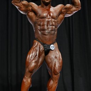 2013 Bodybuilding Images