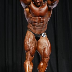 2013 Bodybuilding Images