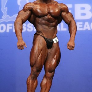 2013 Bodybuilding Images