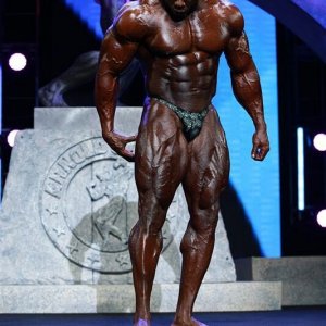 2013 Bodybuilding Images