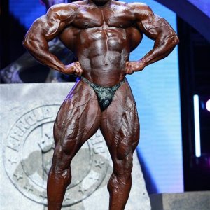 2013 Bodybuilding Images