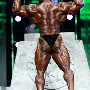 2013 Bodybuilding Images