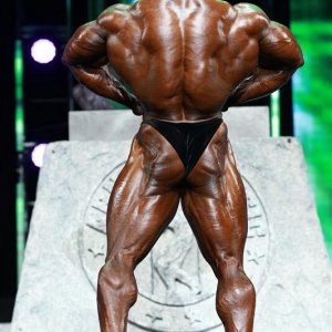 2013 Bodybuilding Images