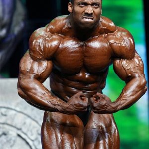 2013 Bodybuilding Images