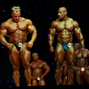 2013 Bodybuilding Images