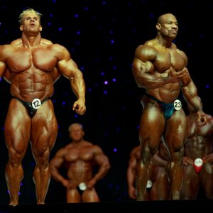 2013 Bodybuilding Images