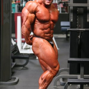 2013 Bodybuilding Images