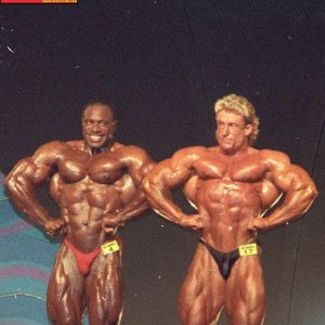 2013 Bodybuilding Images