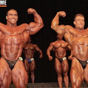 2013 Bodybuilding Images