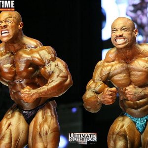 2013 Bodybuilding Images