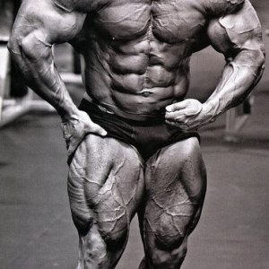 2013 Bodybuilding Images