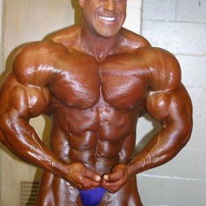 2013 Bodybuilding Images