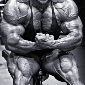 2013 Bodybuilding Images