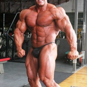 2013 Bodybuilding Images