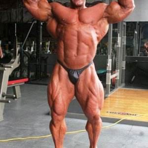 2013 Bodybuilding Images