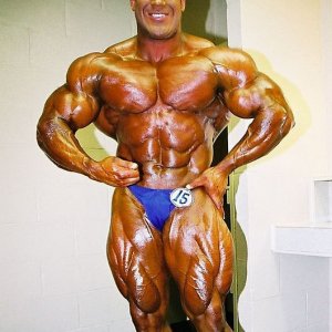 2013 Bodybuilding Images