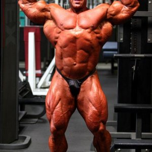 2013 Bodybuilding Images