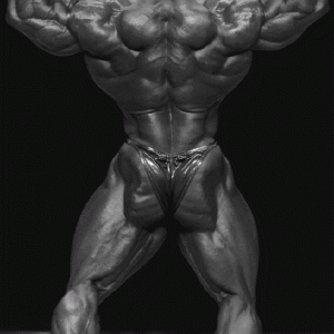 2013 Bodybuilding Images