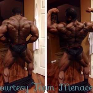 2013 Bodybuilding Images