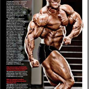 2013 Bodybuilding Images