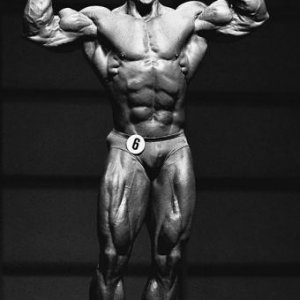 2013 Bodybuilding Images