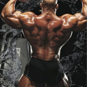 2013 Bodybuilding Images