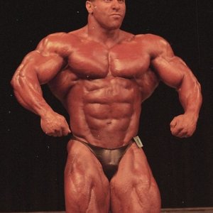 2013 Bodybuilding Images