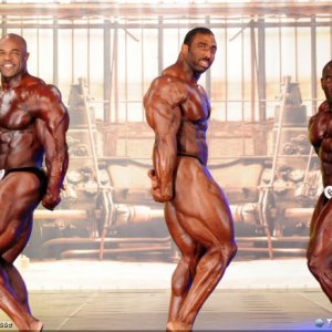 2013 Bodybuilding Images